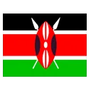 Kenya Vizesi